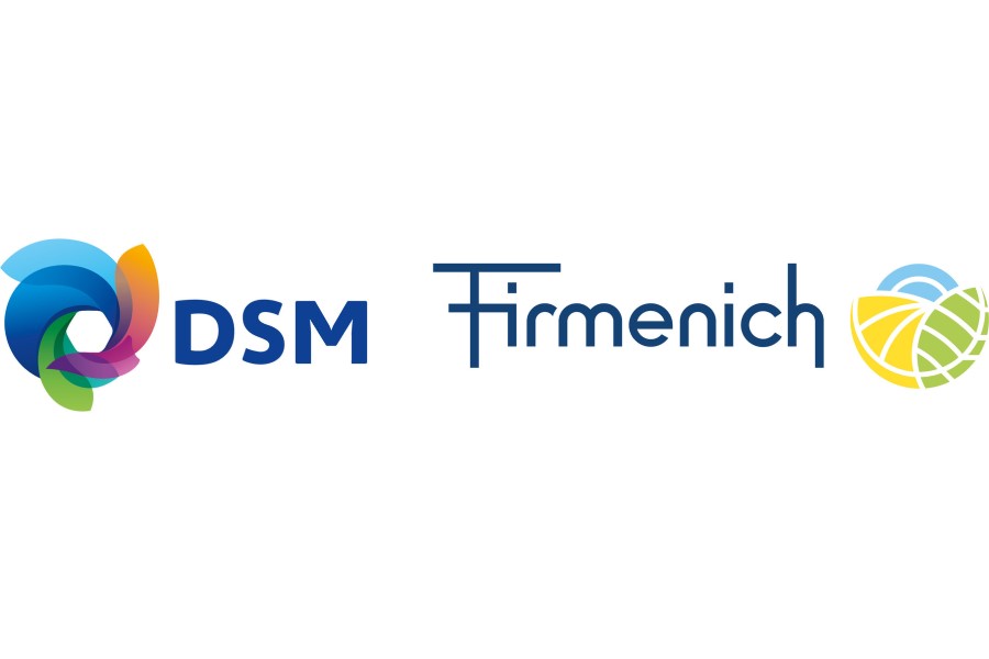 Share trading in DSM-Firmenich kicks off at Amsterdam bourse