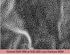Water-coated Silicone Technology featuring GRANSIL SiW ELASTOMER GELS