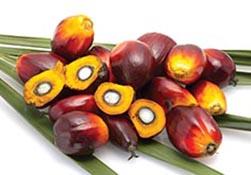 Evonik's production sites RSPO certified