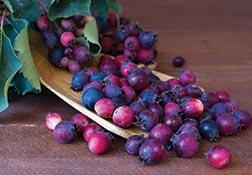 Superfood extracts available
