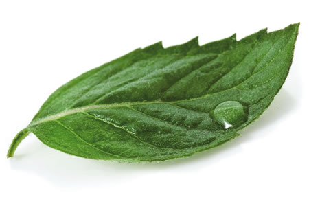 Botanical extracts unveiled