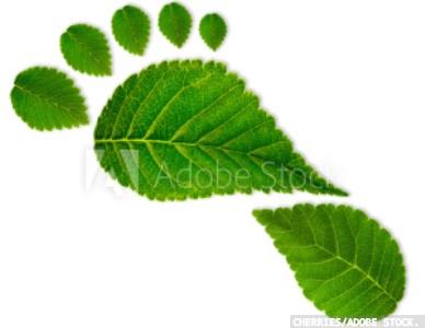 Carbon neutral in Africa