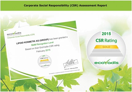 CSR rating and ranking