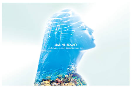 An underwater journey in search of new ingredients