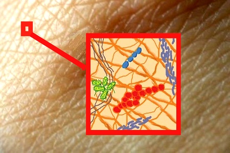 Cosmetic science's newest 'omics' service