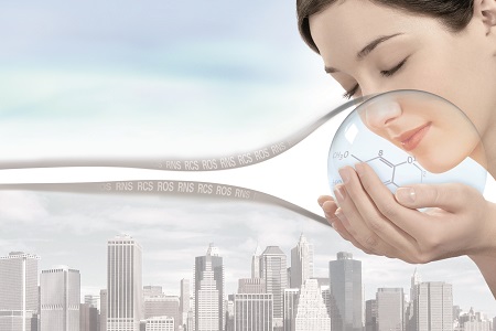 Molecule's new test reveals antioxidant protection