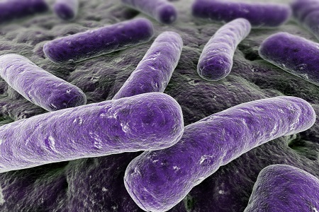 Functional pre-biotics launched at show