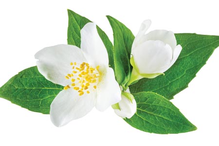 Stimulating testosterone production