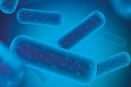 Collaboration for probiotic-based cosmetic ingredients