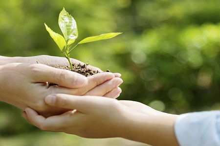 Top eco-rating received again