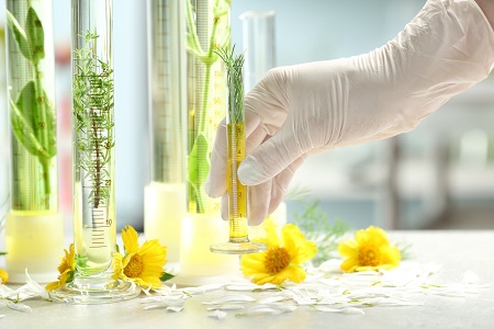Wheat peptide alternative to cationic guar launched