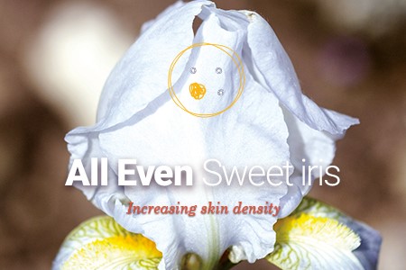 Naolys active cells from Sweet iris for an anti-wrinkle effect