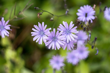 Plant-based moisturisation for up to 48 hours