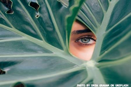 Trendiest ingredients in healthcare, wellness and skin care