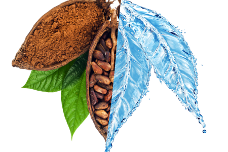 Strengthen natural defences to fight against skin ageing
