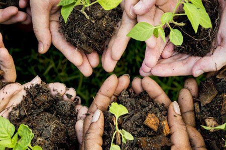Full programme for sustainability conference announced
