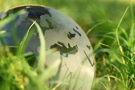 Thinking local and acting for sustainable beauty
