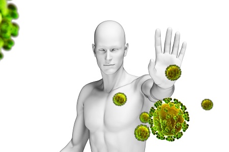 Virucidal activity of lactic acid investigated
