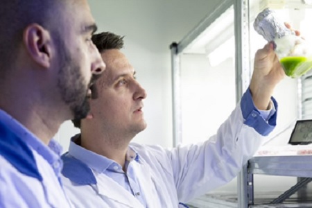 €500K funding for development of new plant-based skin treatments