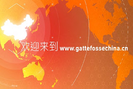 Chinese website launched