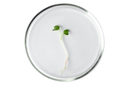 Clean beauty formulations made easy