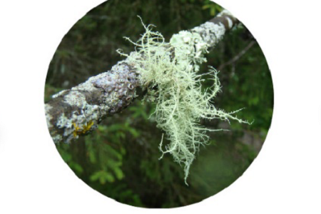 Natural actives certified microbiome friendly