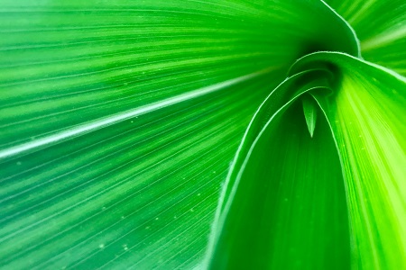 Sustainability objectives highlighted