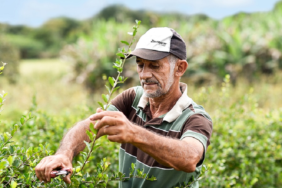 Initiative for more sustainable and equitable supply chains