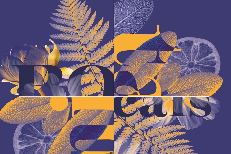New botanicals division launched
