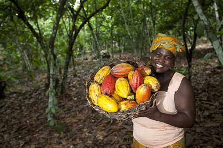 Cargill adds sustainable cocoa butter