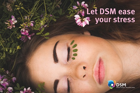 DSM sharpens corporate focus