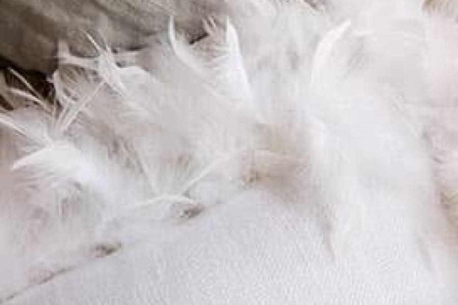 Purity on show from Givaudan