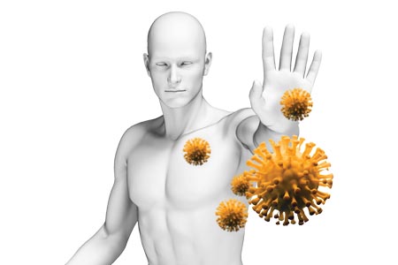 Activity of L(+)-lactic acid against enveloped viruses