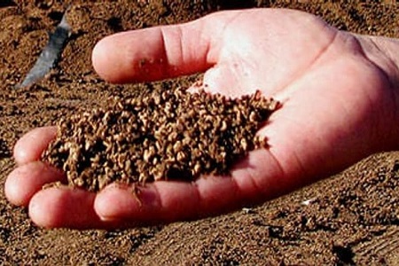 Olive oil wastes have cosmetic potential