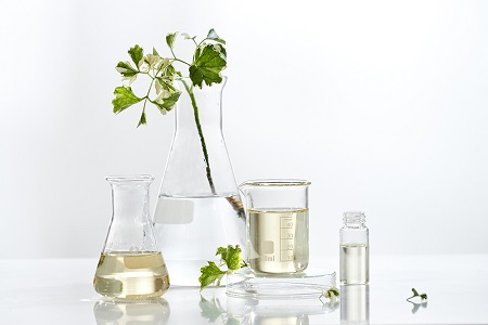 Plant-based skincare ‘growing strongly’