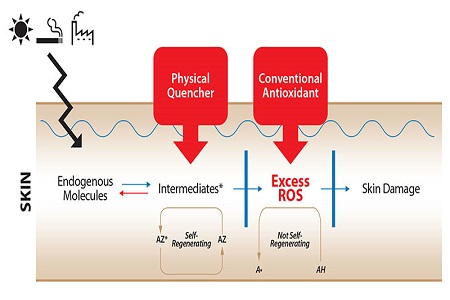 New aryl alkenone from Sytheon