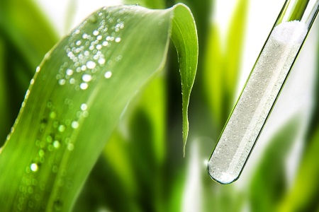 Biosyntia in biotin deal