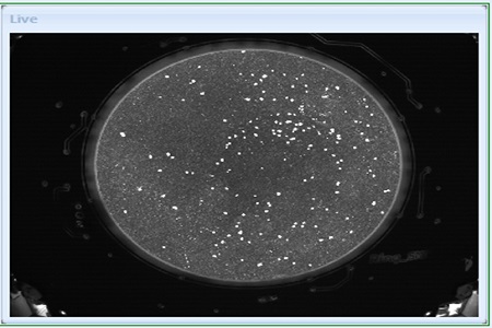 New software for DandruffMeter DA 20