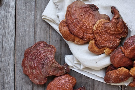 TRI-K introduces NaturePep Ganoderma