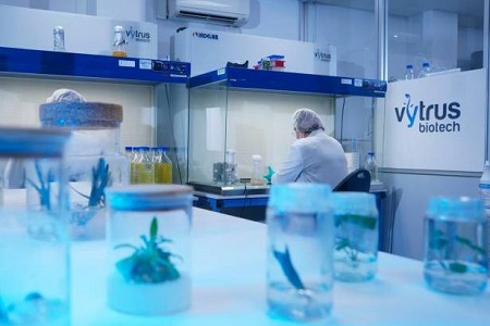 Vytrus launch planned
