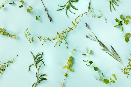 Symrise works on sustainable extraction