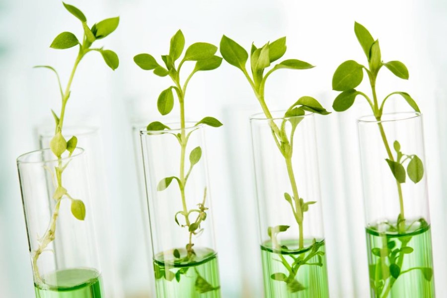 Evonik to invest €3 billion in ‘Next Generation Solutions’ by 2030