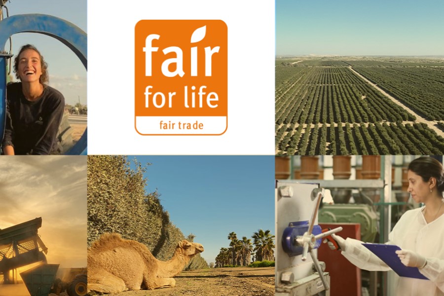 Jojoba Desert scores Fair for Life certification hat-trick