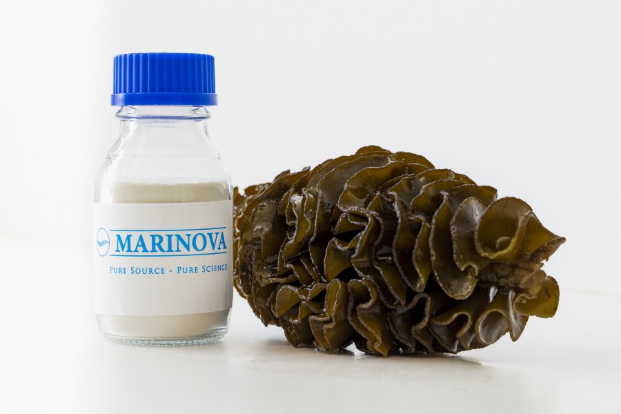 Aussie fucoidan maker Marinova set to triple manufacturing capacity