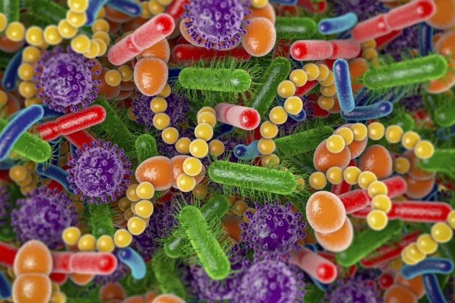 Unilever partners with UK university for microbiome wellbeing research