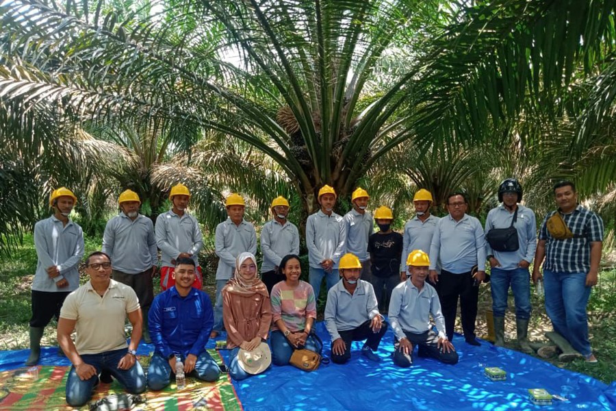 BASF, Estée Lauder boost Indonesian sustainable palm oil output