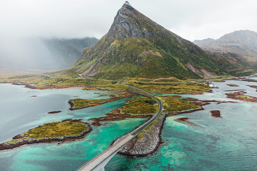 IFF environmental project to restore seaweed forests in Norway