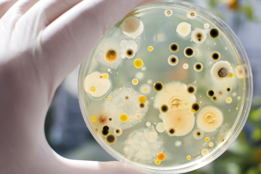 Microbiological quality of personal care products