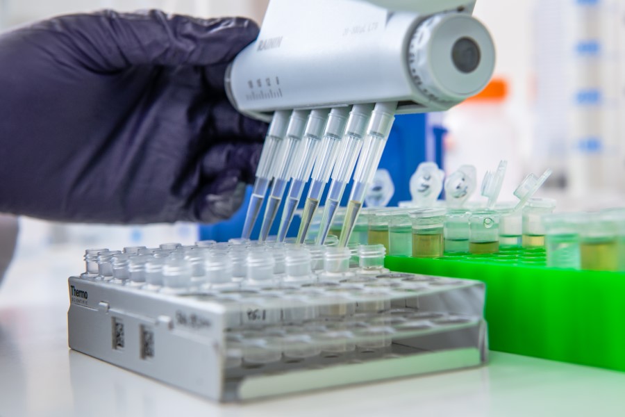 L’Oréal, Evonik invest in ingredient startup Abolis