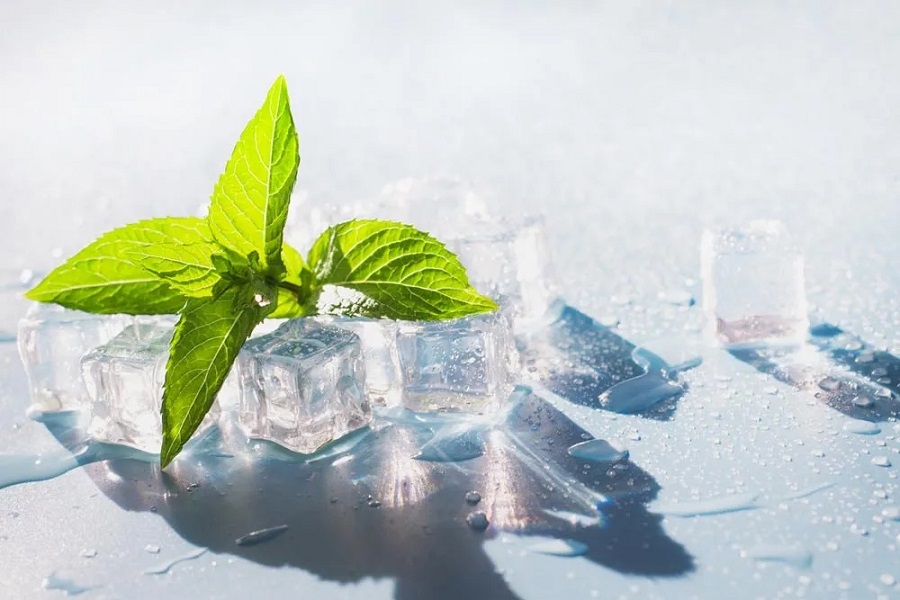 Symrise celebrates 50 years of synthetic menthol invention